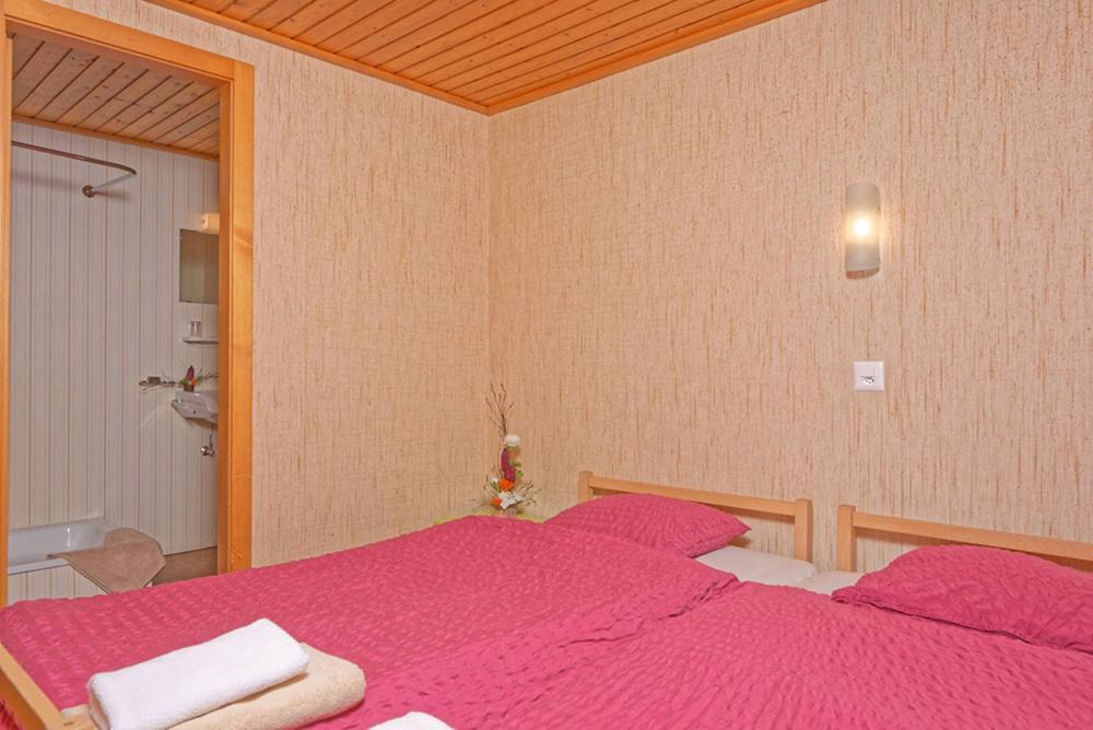Petit Velan - Coworking & Coliving Vandrehjem Bourg-Saint-Pierre Eksteriør billede